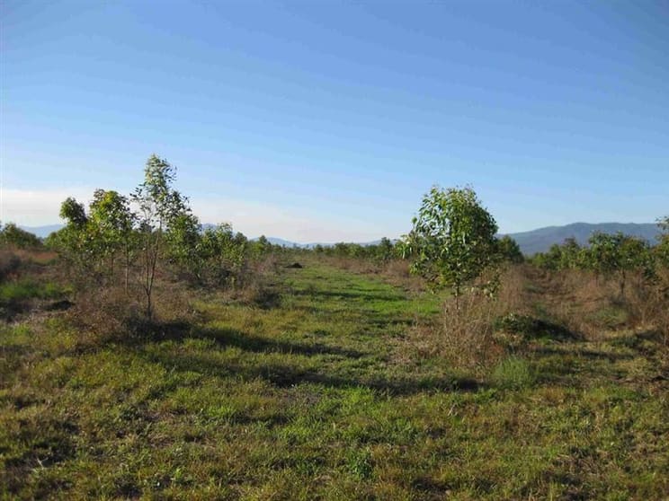 Click to view all images REGION Ingham QLD 4850 - Image 3