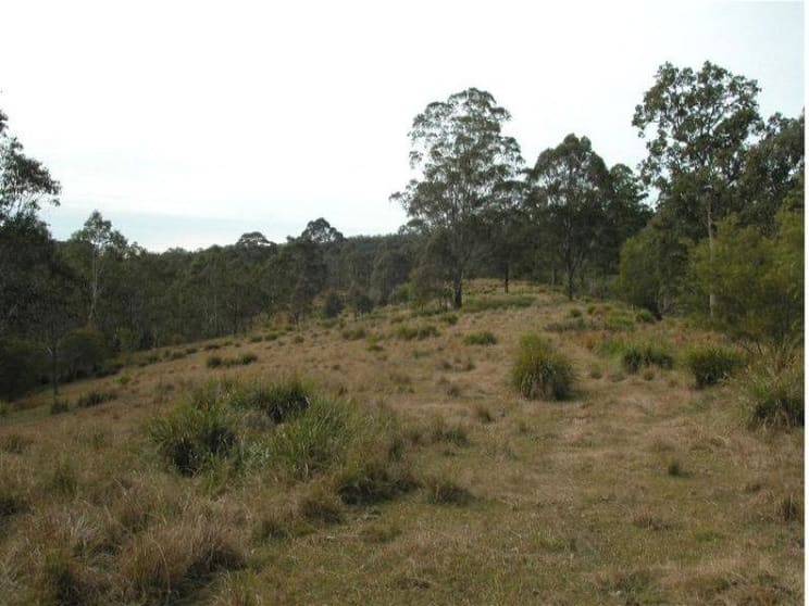 Doyles River NSW 2446 - Image 2