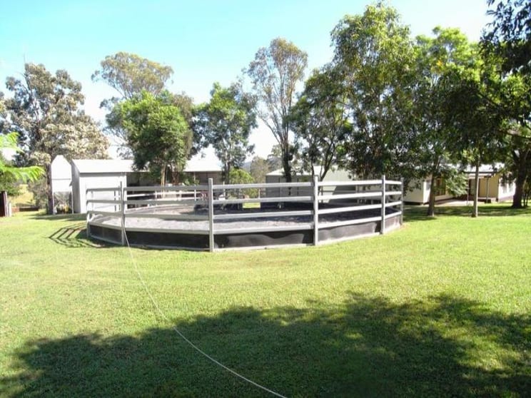 Wingham NSW 2429 - Image 2