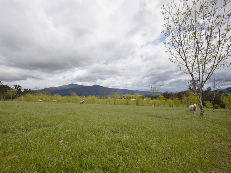 Wandella NSW 2550 - Image 2