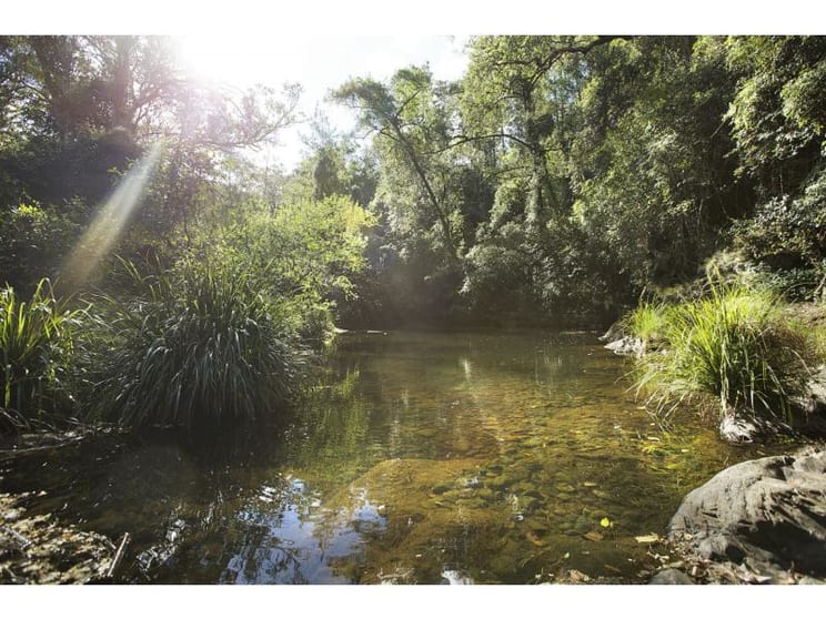 Gloucester NSW 2422 - Image 1