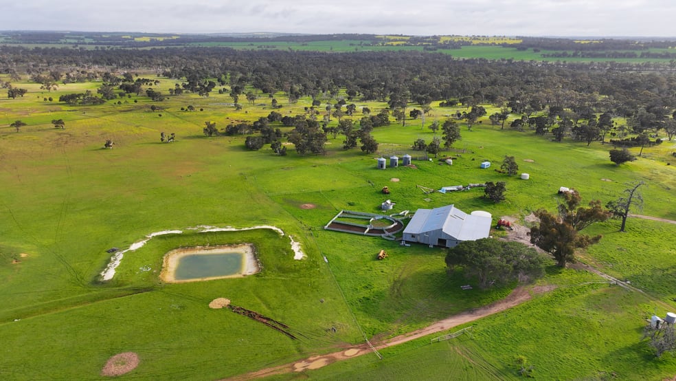 Api Home 331 Rural & Farming Property For Sale in 331 Clitchbury Road, Frankland ...