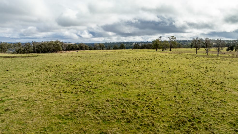 Rural / Farming commercial property for sale at 737 Dyamberin Road Wongwibinda NSW 2350 Rural / Farming commercial property for sale at 737 Dyamberin Road Wongwibinda NSW 2350