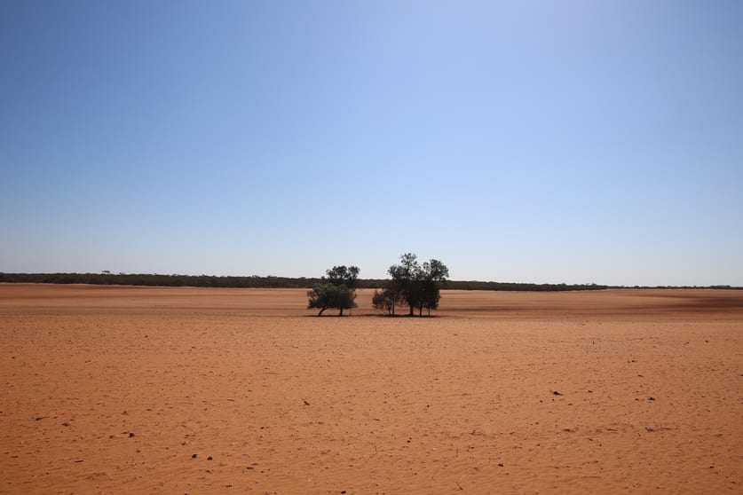 Rural / Farming commercial property for sale at Monak NSW 2738