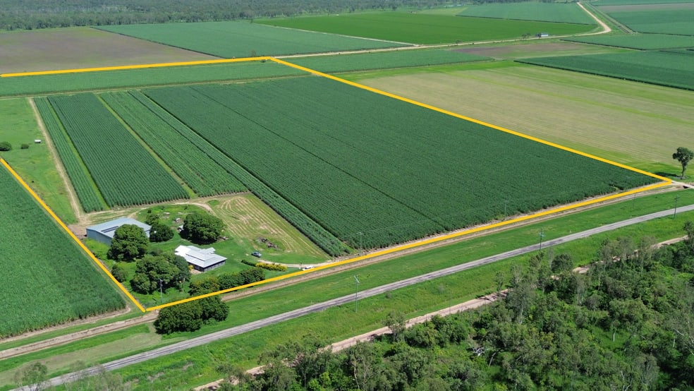 Rural / Farming commercial property for sale at 6510 Ayr Dalbeg Rd Millaroo QLD 4807