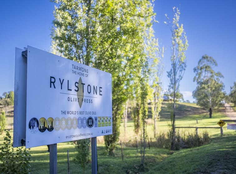 Rural / Farming commercial property for sale at 25 Mossy Rock Lane Monivae NSW 2850 Rural / Farming commercial property for sale at 25 Mossy Rock Lane Monivae NSW 2850