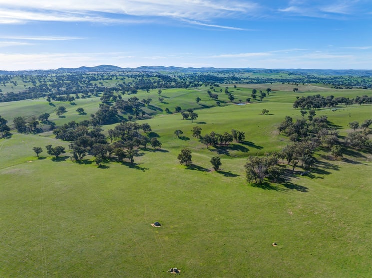 Rural / Farming commercial property for sale at 7440 Hume Highway Jugiong NSW 2726 Rural / Farming commercial property for sale at 7440 Hume Highway Jugiong NSW 2726