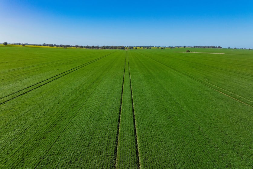 Other commercial property for sale at Barmedman NSW 2668