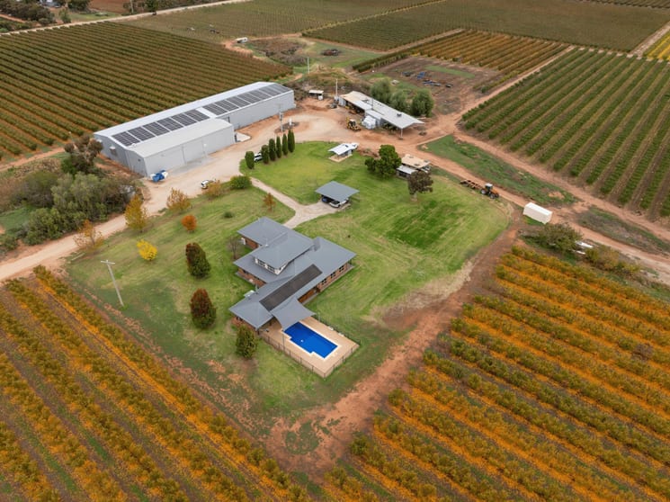 Rural / Farming commercial property for sale at 204 Cottman Road Beverford VIC 3590 Rural / Farming commercial property for sale at 204 Cottman Road Beverford VIC 3590