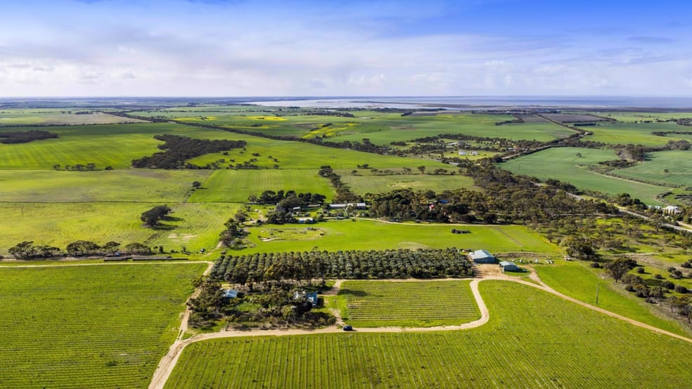 Rural / Farming commercial property for sale at 2209 Langhorne Creek Road Langhorne Creek SA 5255