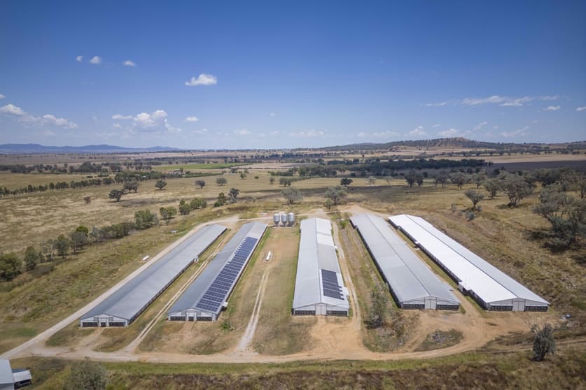Rural / Farming commercial property for sale at 2797 Manilla Road Attunga NSW 2345