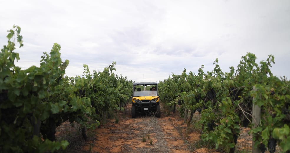 Rural / Farming commercial property for sale at New Residence SA 5333 Rural / Farming commercial property for sale at New Residence SA 5333