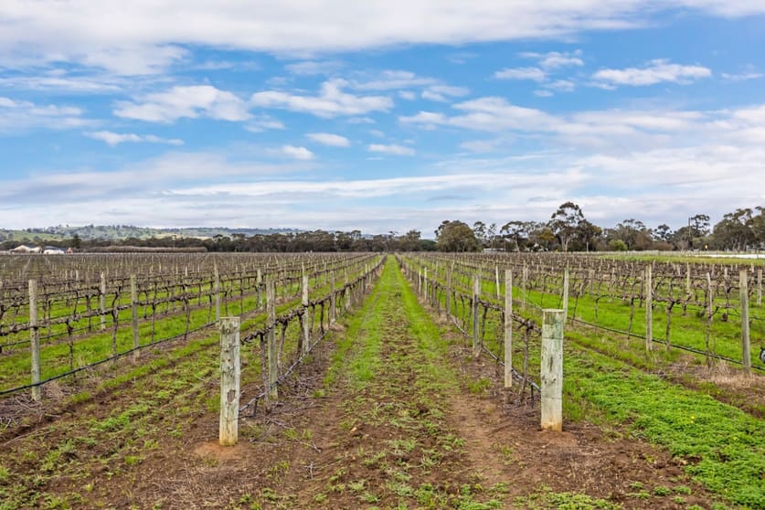 Rural / Farming commercial property for sale at 258 Angaston Road Angaston SA 5353