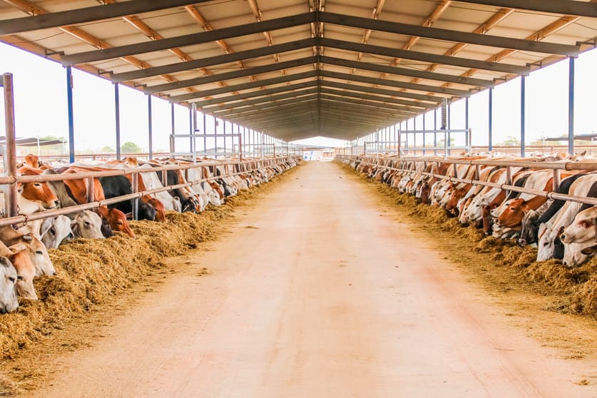Rural / Farming commercial property for sale at 3865 Stuart Highway Birdum NT 0852 Rural / Farming commercial property for sale at 3865 Stuart Highway Birdum NT 0852