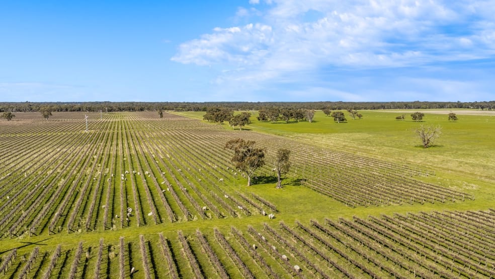Rural / Farming commercial property for sale at Davis Road Coonawarra SA 5263