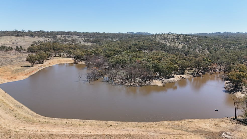 Rural / Farming commercial property for sale at 831 Stanthorpe-Inglewood Road Pikedale QLD 4380