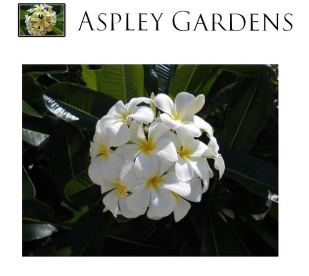 Management Rights Business - Aspley Gardens Retirement (over 50's) Village Management Rights Business - Aspley Gardens Retirement (over 50's) Village