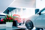 Business Opportunity Perfect Clean and Green For Sale