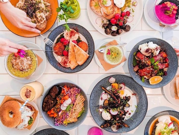 Premium Asian-Fusion Cafe & Specialty Coffee Roaster | Lower North Shore Hub Premium Asian-Fusion Cafe & Specialty Coffee Roaster | Lower North Shore Hub