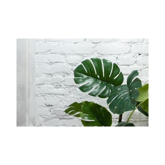 Business Opportunity Perfect Clean and Green Business Opportunity Perfect Clean and Green