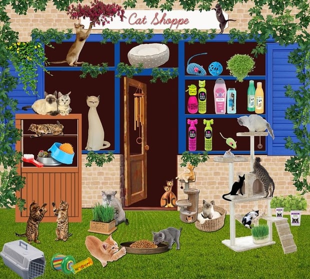 Pet Store and Accessories Stirling Pet Store and Accessories Stirling