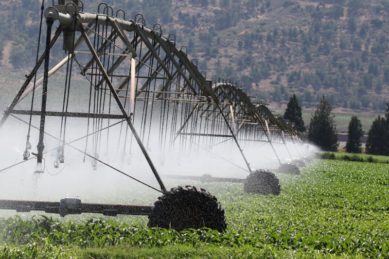 Established Irrigation/Pump and Fittings Business for Sale in the Gippsland Area