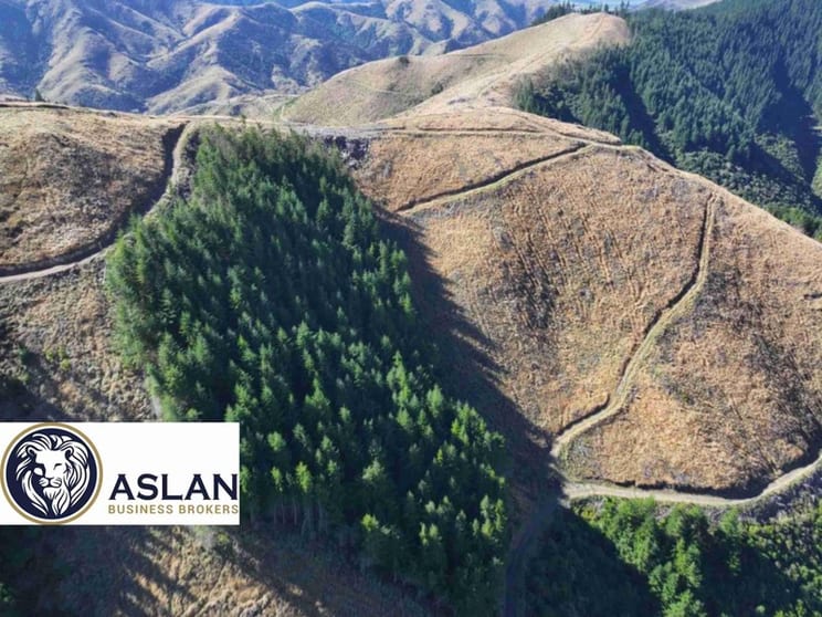 Land For Sale In New Zealand