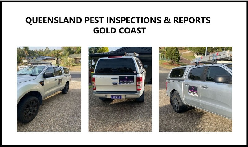 Queensland Pest Inspections & Reports Gold Coast Queensland Pest Inspections & Reports Gold Coast