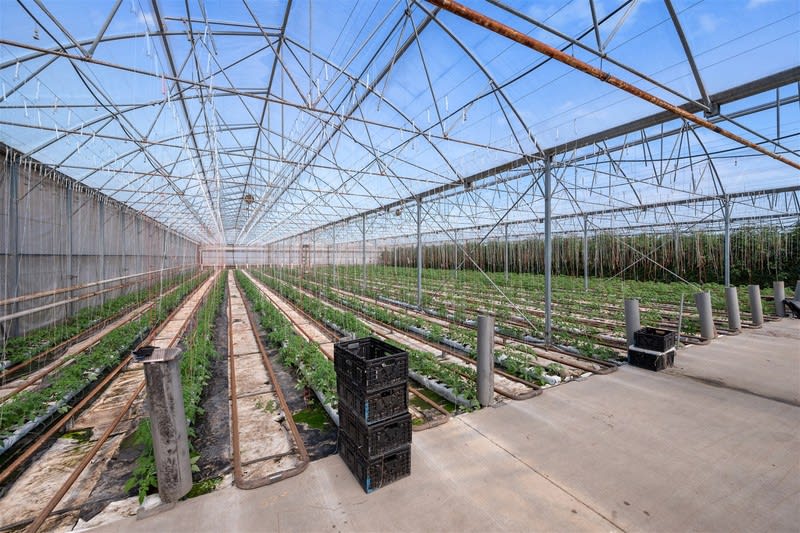 Hydroponic Vegetable Crop Farm - Land, Buildings & Machinery Hydroponic Vegetable Crop Farm - Land, Buildings & Machinery
