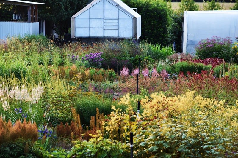 Wholesale & Retail Nursery | Established Perennials Nursery Opportunity | VIC