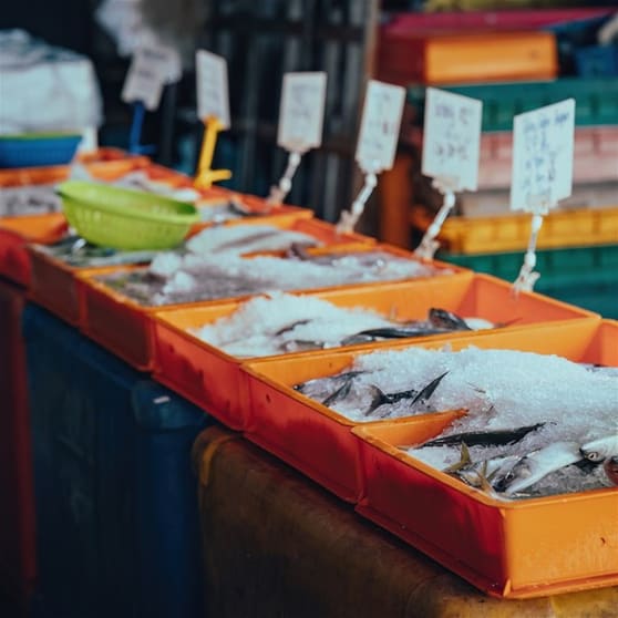 Coming Soon - Fresh Seafood Business - Easy To Run