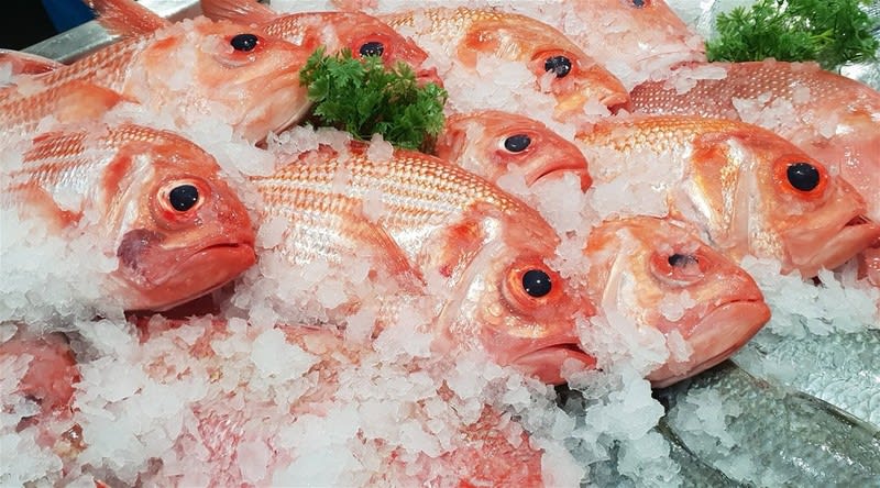 Coming Soon - Fresh Seafood Business - Easy To Run Coming Soon - Fresh Seafood Business - Easy To Run