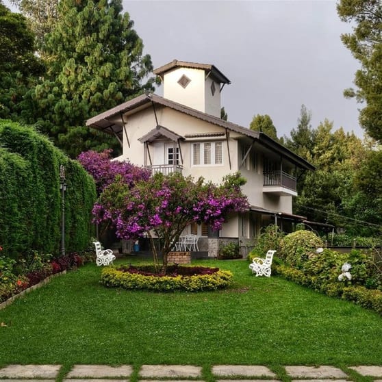 Established Garden Maintenance Business - Recurring Clients