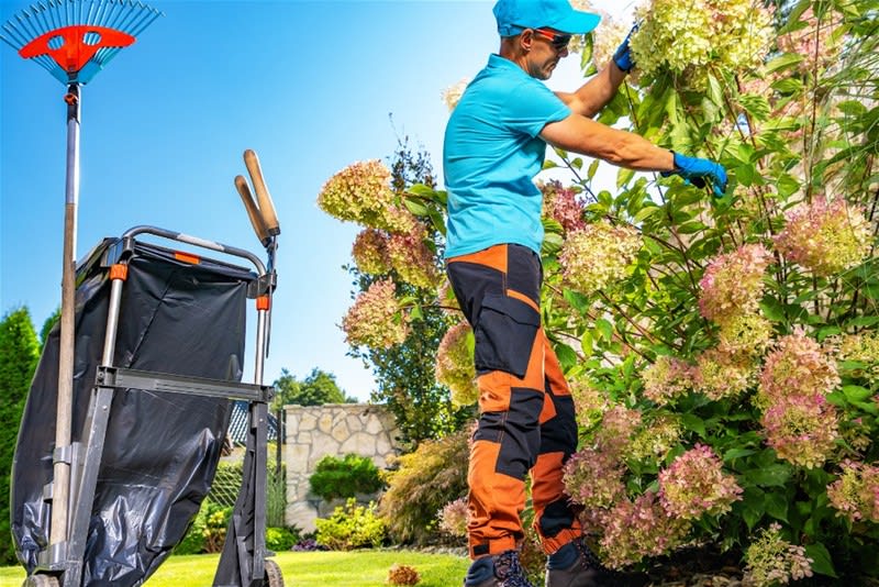 Profitable Garden Maintenance Business near Toorak for Sale Profitable Garden Maintenance Business near Toorak for Sale
