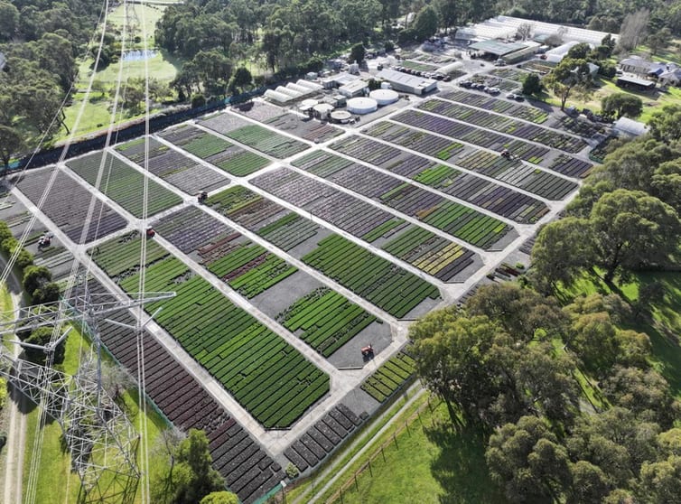 Established Wholesale Production Nursery | Under Management | $1.9m Profit