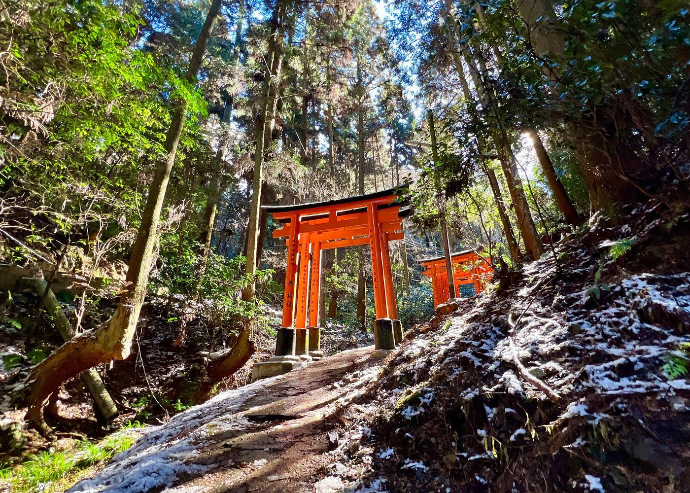  Fushimi Inari Hidden Hike