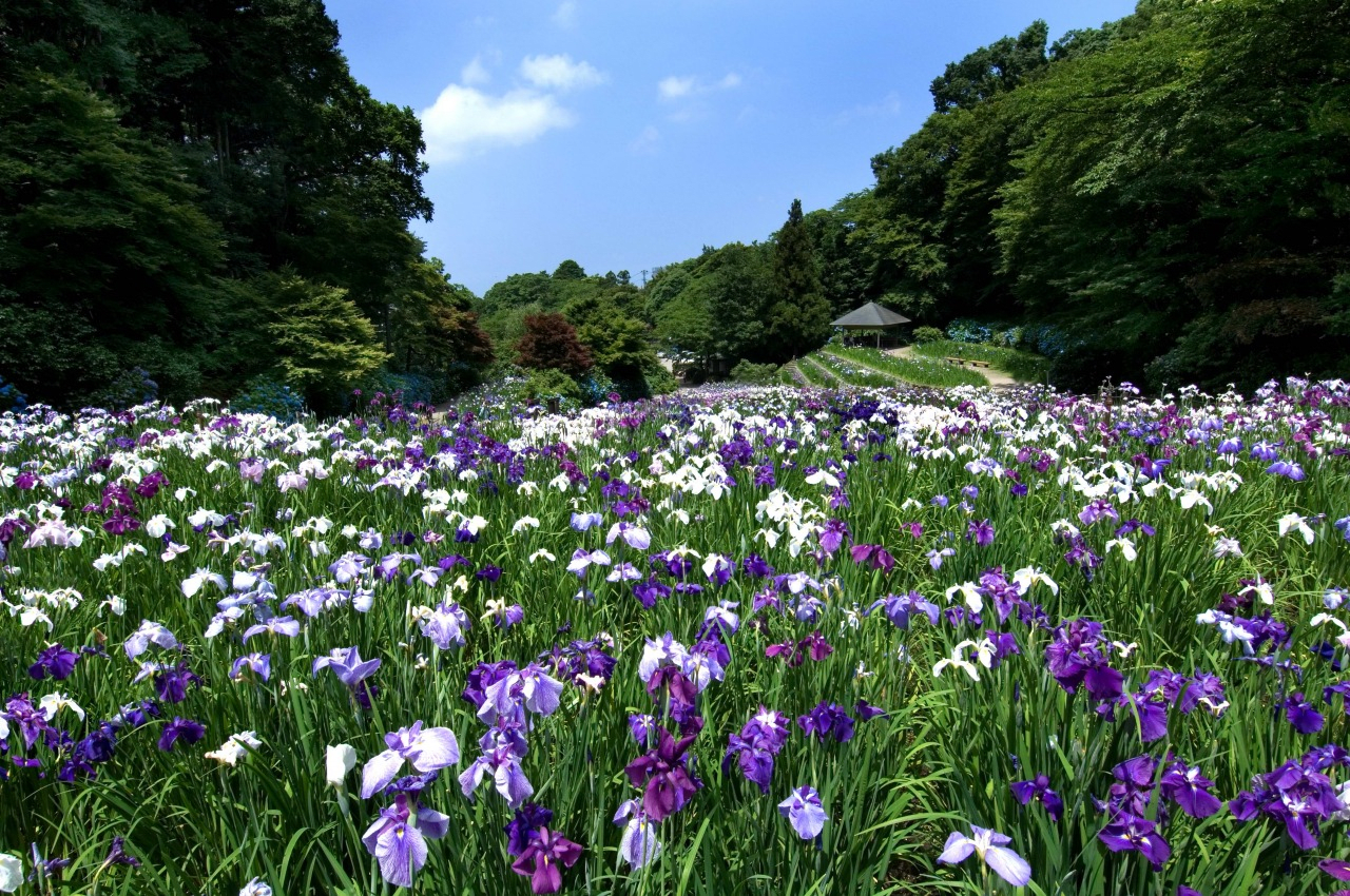 130720251117_image2.png