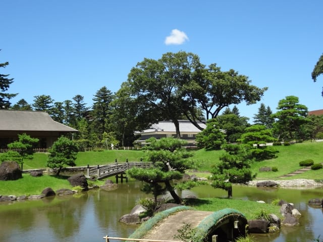 210620251909_image13.jpg