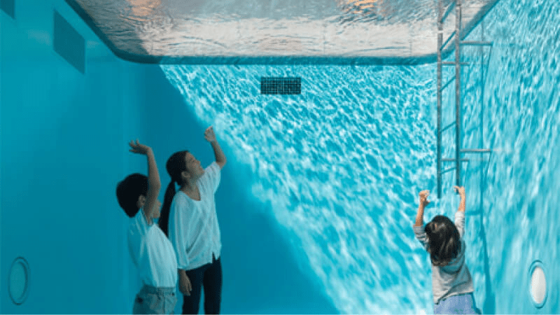Experience