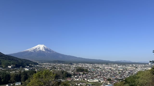 230820251830_image12.jpg