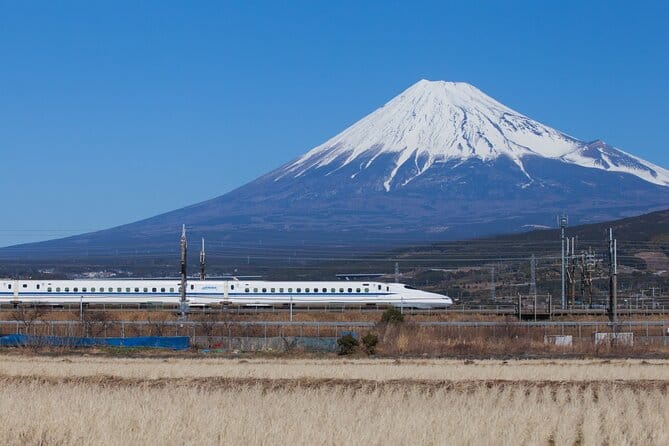 Mt. Fuji and Bullet Train