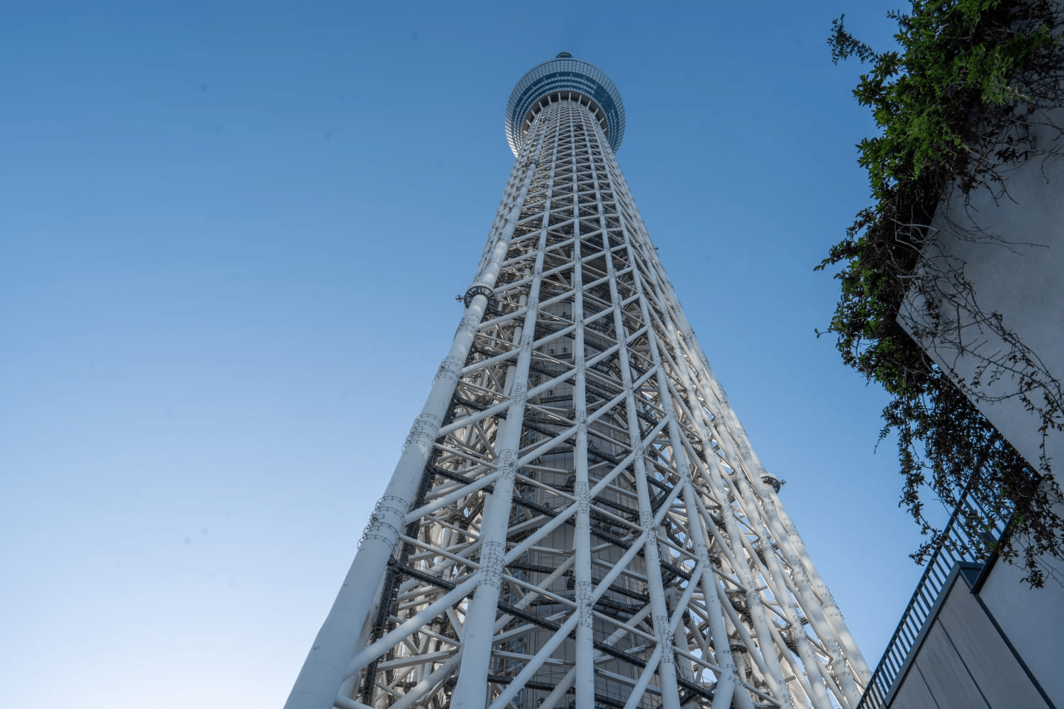 Allow Extra Time When Visiting Popular Tourist Spots