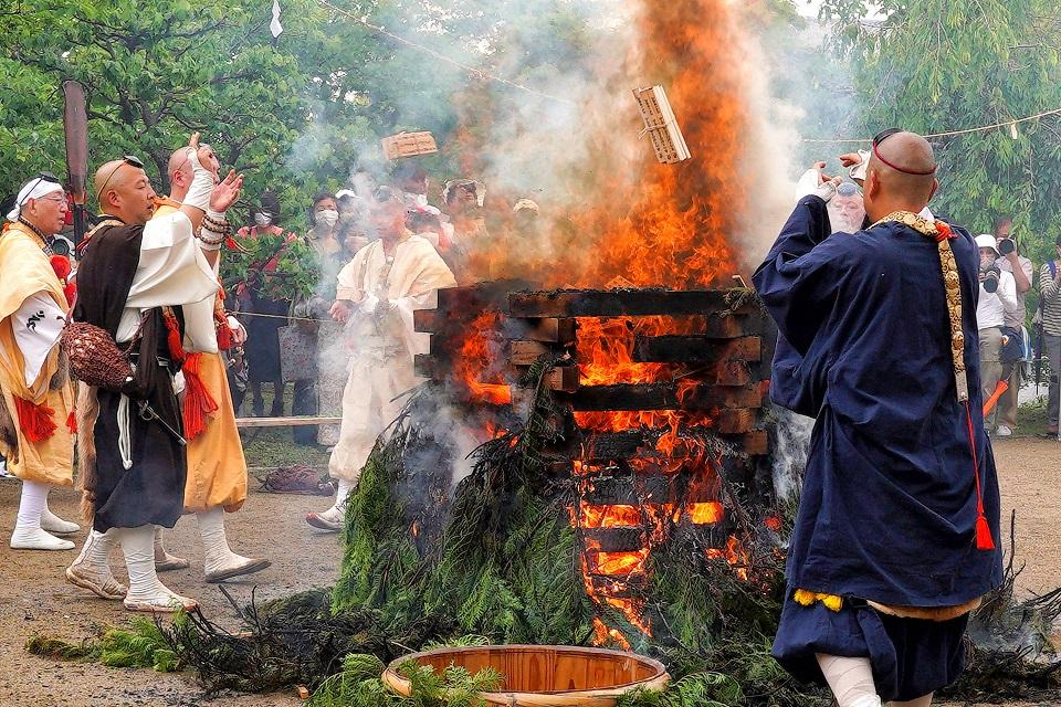 Aoba Festival