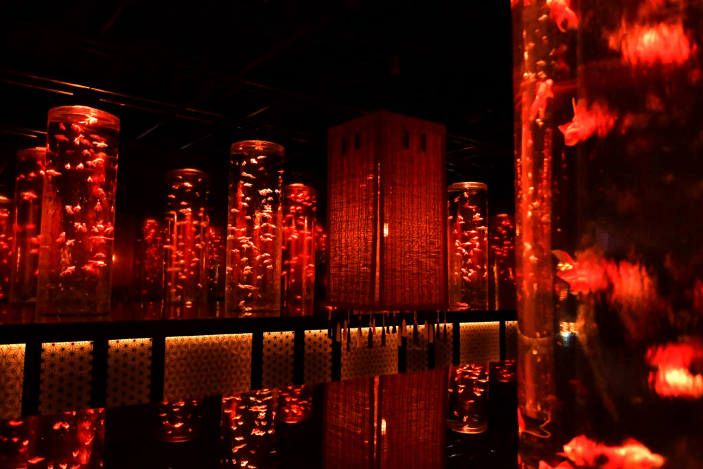 Art Aquarium Museum GINZA Autumn Special Exhibition
