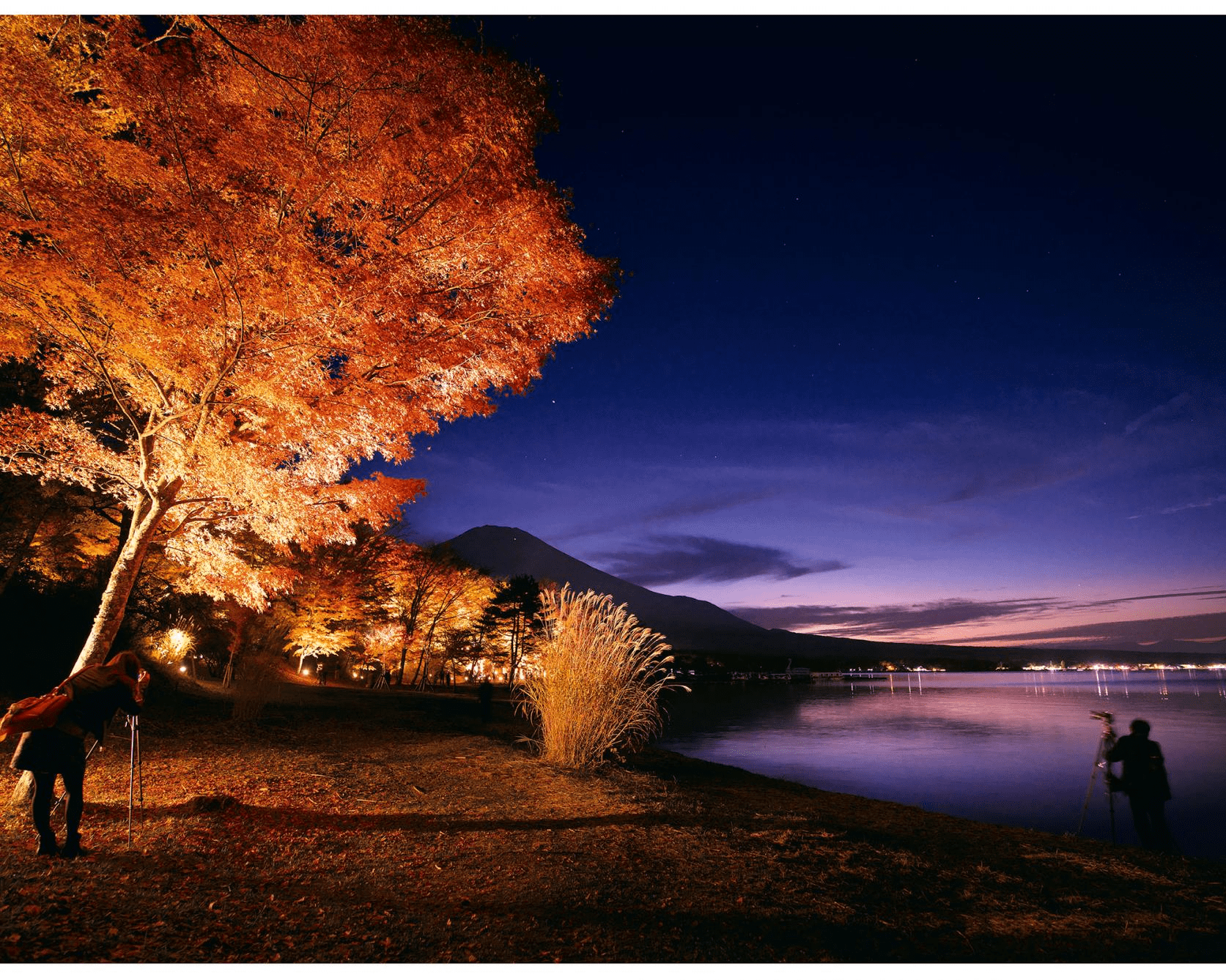 Asahigaoka Lakeside Greenspace