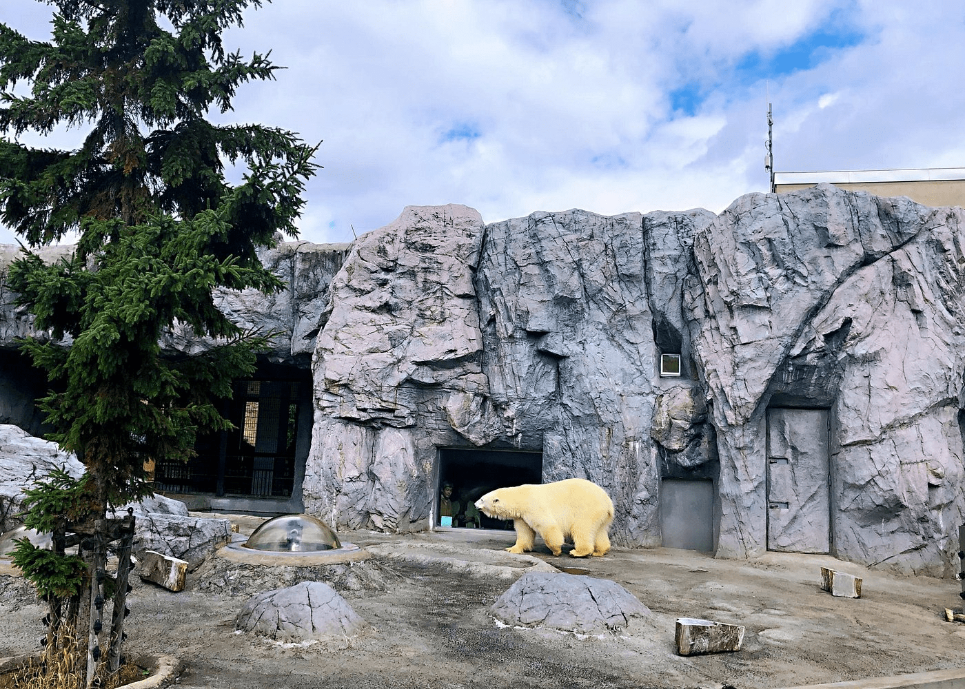 Asahiyama Zoo