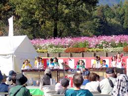 Autumn Green Fair 2025
