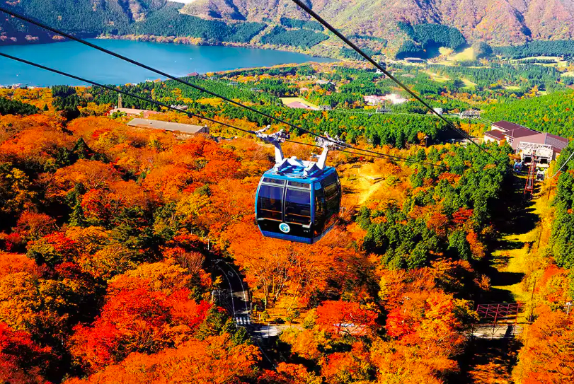 Autumn Leaves at Owakudani