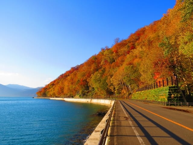 Beautiful Nature That Changes with the Seasons