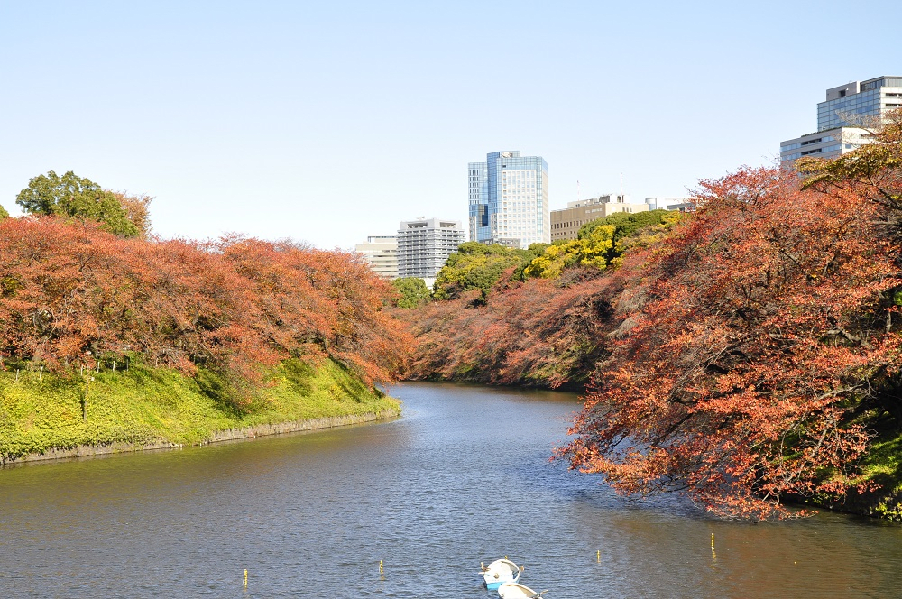 Chidorigafuchi Greenway